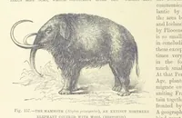 An illustration from Our Earth and its Story: a popular treatise on physical geography. Edited by R. Brown. With ... coloured plates and maps, etc (1893)