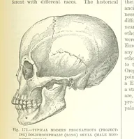 An illustration from Our Earth and its Story: a popular treatise on physical geography. Edited by R. Brown. With ... coloured plates and maps, etc (1893)