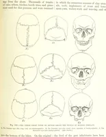An illustration from Our Earth and its Story: a popular treatise on physical geography. Edited by R. Brown. With ... coloured plates and maps, etc (1893)
