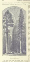 An illustration from Our Earth and its Story: a popular treatise on physical geography. Edited by R. Brown. With ... coloured plates and maps, etc (1893)