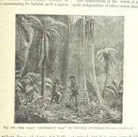 An illustration from Our Earth and its Story: a popular treatise on physical geography. Edited by R. Brown. With ... coloured plates and maps, etc (1893)