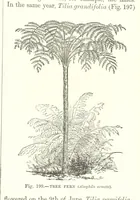 An illustration from Our Earth and its Story: a popular treatise on physical geography. Edited by R. Brown. With ... coloured plates and maps, etc (1893)