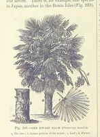 An illustration from Our Earth and its Story: a popular treatise on physical geography. Edited by R. Brown. With ... coloured plates and maps, etc (1893)