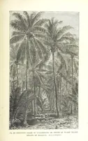 An illustration from Our Earth and its Story: a popular treatise on physical geography. Edited by R. Brown. With ... coloured plates and maps, etc (1893)
