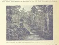 Picture 360 of 418 from Our Earth and its Story: a popular treatise on physical geography. Edited by R. Brown. With ... coloured plates and maps, etc (1893), leaf 728