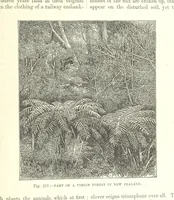 An illustration from Our Earth and its Story: a popular treatise on physical geography. Edited by R. Brown. With ... coloured plates and maps, etc (1893)