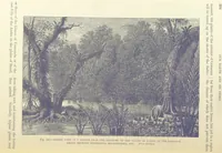 An illustration from Our Earth and its Story: a popular treatise on physical geography. Edited by R. Brown. With ... coloured plates and maps, etc (1893)