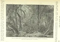 An illustration from Our Earth and its Story: a popular treatise on physical geography. Edited by R. Brown. With ... coloured plates and maps, etc (1893)