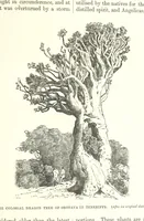 An illustration from Our Earth and its Story: a popular treatise on physical geography. Edited by R. Brown. With ... coloured plates and maps, etc (1893)