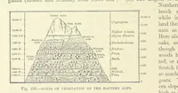Picture 391 of 418 from Our Earth and its Story: a popular treatise on physical geography. Edited by R. Brown. With ... coloured plates and maps, etc (1893), leaf 782