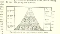 Picture 392 of 418 from Our Earth and its Story: a popular treatise on physical geography. Edited by R. Brown. With ... coloured plates and maps, etc (1893), leaf 783
