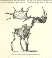 An illustration from Our Earth and its Story: a popular treatise on physical geography. Edited by R. Brown. With ... coloured plates and maps, etc (1893)
