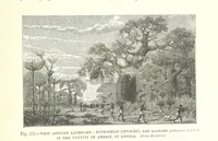 An illustration from Our Earth and its Story: a popular treatise on physical geography. Edited by R. Brown. With ... coloured plates and maps, etc (1893)