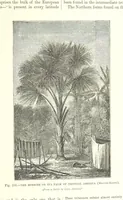 An illustration from Our Earth and its Story: a popular treatise on physical geography. Edited by R. Brown. With ... coloured plates and maps, etc (1893)