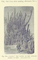 Picture 411 of 418 from Our Earth and its Story: a popular treatise on physical geography. Edited by R. Brown. With ... coloured plates and maps, etc (1893), leaf 816