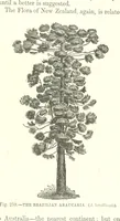 An illustration from Our Earth and its Story: a popular treatise on physical geography. Edited by R. Brown. With ... coloured plates and maps, etc (1893)
