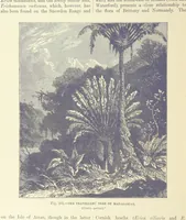 An illustration from Our Earth and its Story: a popular treatise on physical geography. Edited by R. Brown. With ... coloured plates and maps, etc (1893)