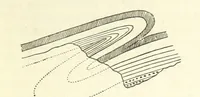 An illustration from Our Earth and its Story: a popular treatise on physical geography. Edited by R. Brown. With ... coloured plates and maps, etc (1893)