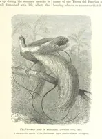 An illustration from Our Earth and its Story: a popular treatise on physical geography. Edited by R. Brown. With ... coloured plates and maps, etc (1893)