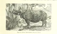 An illustration from Our Earth and its Story: a popular treatise on physical geography. Edited by R. Brown. With ... coloured plates and maps, etc (1893)