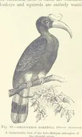 An illustration from Our Earth and its Story: a popular treatise on physical geography. Edited by R. Brown. With ... coloured plates and maps, etc (1893)