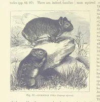 An illustration from Our Earth and its Story: a popular treatise on physical geography. Edited by R. Brown. With ... coloured plates and maps, etc (1893)