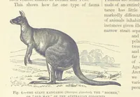 An illustration from Our Earth and its Story: a popular treatise on physical geography. Edited by R. Brown. With ... coloured plates and maps, etc (1893)