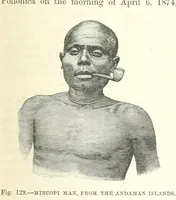 An illustration from Our Earth and its Story: a popular treatise on physical geography. Edited by R. Brown. With ... coloured plates and maps, etc (1893)