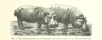 An illustration from Our Earth and its Story: a popular treatise on physical geography. Edited by R. Brown. With ... coloured plates and maps, etc (1893)