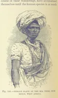 An illustration from Our Earth and its Story: a popular treatise on physical geography. Edited by R. Brown. With ... coloured plates and maps, etc (1893)