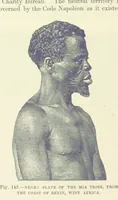 An illustration from Our Earth and its Story: a popular treatise on physical geography. Edited by R. Brown. With ... coloured plates and maps, etc (1893)