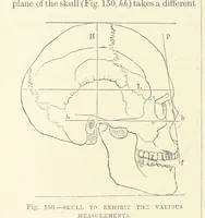 An illustration from Our Earth and its Story: a popular treatise on physical geography. Edited by R. Brown. With ... coloured plates and maps, etc (1893)