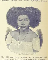 An illustration from Our Earth and its Story: a popular treatise on physical geography. Edited by R. Brown. With ... coloured plates and maps, etc (1893)