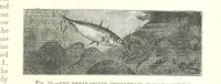 An illustration from Our Earth and its Story: a popular treatise on physical geography. Edited by R. Brown. With ... coloured plates and maps, etc (1893)