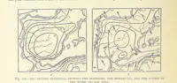 An illustration from Our Earth and its Story: a popular treatise on physical geography. Edited by R. Brown. With ... coloured plates and maps, etc (1893)