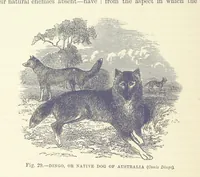 An illustration from Our Earth and its Story: a popular treatise on physical geography. Edited by R. Brown. With ... coloured plates and maps, etc (1893)