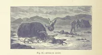 An illustration from Our Earth and its Story: a popular treatise on physical geography. Edited by R. Brown. With ... coloured plates and maps, etc (1893)
