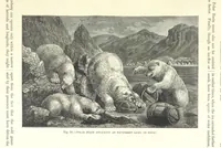 An illustration from Our Earth and its Story: a popular treatise on physical geography. Edited by R. Brown. With ... coloured plates and maps, etc (1893)