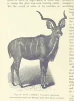 An illustration from Our Earth and its Story: a popular treatise on physical geography. Edited by R. Brown. With ... coloured plates and maps, etc (1893)