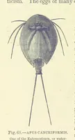 An illustration from Our Earth and its Story: a popular treatise on physical geography. Edited by R. Brown. With ... coloured plates and maps, etc (1899)