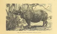 An illustration from Our Earth and its Story: a popular treatise on physical geography. Edited by R. Brown. With ... coloured plates and maps, etc (1899)