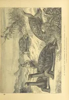 An illustration from Our Earth and its Story: a popular treatise on physical geography. Edited by R. Brown. With ... coloured plates and maps, etc (1899)
