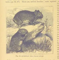An illustration from Our Earth and its Story: a popular treatise on physical geography. Edited by R. Brown. With ... coloured plates and maps, etc (1899)