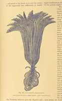 An illustration from Our Earth and its Story: a popular treatise on physical geography. Edited by R. Brown. With ... coloured plates and maps, etc (1899)