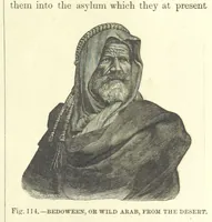 An illustration from Our Earth and its Story: a popular treatise on physical geography. Edited by R. Brown. With ... coloured plates and maps, etc (1899)