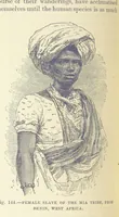An illustration from Our Earth and its Story: a popular treatise on physical geography. Edited by R. Brown. With ... coloured plates and maps, etc (1899)