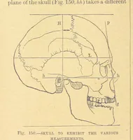 An illustration from Our Earth and its Story: a popular treatise on physical geography. Edited by R. Brown. With ... coloured plates and maps, etc (1899)