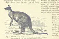 Picture 4 of 273 from Our Earth and its Story: a popular treatise on physical geography. Edited by R. Brown. With ... coloured plates and maps, etc (1899), leaf 20