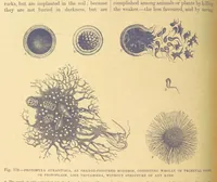An illustration from Our Earth and its Story: a popular treatise on physical geography. Edited by R. Brown. With ... coloured plates and maps, etc (1899)