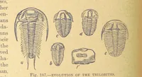 An illustration from Our Earth and its Story: a popular treatise on physical geography. Edited by R. Brown. With ... coloured plates and maps, etc (1899)